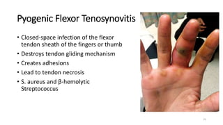 Hand Infection .pptx