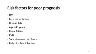 Hand Infection .pptx
