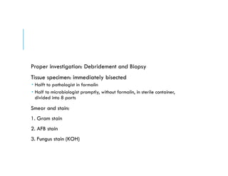 Proper investigation: Debridement and Biopsy
Tissue specimen: immediately bisected
 Halft to pathologist in formalin
 Half to microbiologist promptly, without formalin, in sterile container,
divided into 8 parts
Smear and stain:
1. Gram stain
2. AFB stain
3. Fungus stain (KOH)
 
