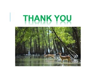 Hand infection - An often ignored problem