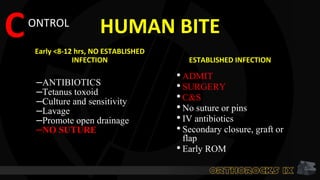 CONTROL
HUMAN BITE
Early <8-12 hrs, NO ESTABLISHED
INFECTION
–ANTIBIOTICS
–Tetanus toxoid
–Culture and sensitivity
–Lavage
–Promote open drainage
–NO SUTURE
ESTABLISHED INFECTION
•ADMIT
•SURGERY
•C&S
•No suture or pins
•IV antibiotics
•Secondary closure, graft or
flap
•Early ROM
 