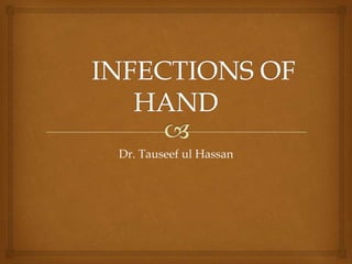Dr. Tauseef ul Hassan
 