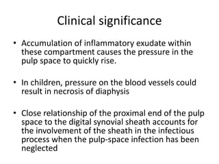 Clinical significance 
• Accumulation of inflammatory exudate within 
these compartment causes the pressure in the 
pulp space to quickly rise. 
• In children, pressure on the blood vessels could 
result in necrosis of diaphysis 
• Close relationship of the proximal end of the pulp 
space to the digital synovial sheath accounts for 
the involvement of the sheath in the infectious 
process when the pulp-space infection has been 
neglected 
 