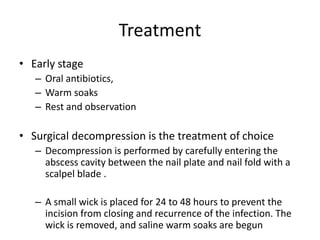Treatment 
• Early stage 
– Oral antibiotics, 
– Warm soaks 
– Rest and observation 
• Surgical decompression is the treatment of choice 
– Decompression is performed by carefully entering the 
abscess cavity between the nail plate and nail fold with a 
scalpel blade . 
– A small wick is placed for 24 to 48 hours to prevent the 
incision from closing and recurrence of the infection. The 
wick is removed, and saline warm soaks are begun 
 