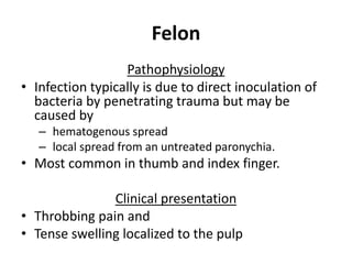 Felon 
Pathophysiology 
• Infection typically is due to direct inoculation of 
bacteria by penetrating trauma but may be 
caused by 
– hematogenous spread 
– local spread from an untreated paronychia. 
• Most common in thumb and index finger. 
Clinical presentation 
• Throbbing pain and 
• Tense swelling localized to the pulp 
 