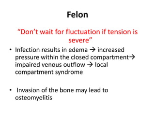 Felon 
“Don’t wait for fluctuation if tension is 
severe” 
• Infection results in edema  increased 
pressure within the closed compartment 
impaired venous outflow  local 
compartment syndrome 
• Invasion of the bone may lead to 
osteomyelitis 
 