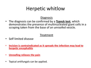 Herpetic whitlow 
Diagnosis 
• The diagnosis can be confirmed by a Tzanck test, which 
demonstrates the presence of multinucleated giant cells in a 
scraping taken from the base of an unroofed vesicle. 
Treatment 
• Self limited disease 
• Incision is contraindicated as it spreads the infection may lead to 
herpetic encephalitis 
• Unroofing relieves the pain 
• Topical antifungals can be applied. 
 