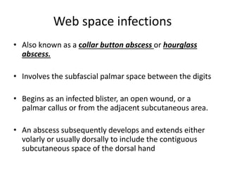 Web space infections 
• Also known as a collar button abscess or hourglass 
abscess. 
• Involves the subfascial palmar space between the digits 
• Begins as an infected blister, an open wound, or a 
palmar callus or from the adjacent subcutaneous area. 
• An abscess subsequently develops and extends either 
volarly or usually dorsally to include the contiguous 
subcutaneous space of the dorsal hand 
 