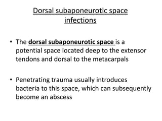 Dorsal subaponeurotic space 
infections 
• The dorsal subaponeurotic space is a 
potential space located deep to the extensor 
tendons and dorsal to the metacarpals 
• Penetrating trauma usually introduces 
bacteria to this space, which can subsequently 
become an abscess 
 