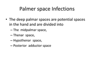 Palmer space Infections 
• The deep palmar spaces are potential spaces 
in the hand and are divided into 
– The midpalmar space, 
– Thenar space, 
– Hypothenar space, 
– Posterior adductor space 
 