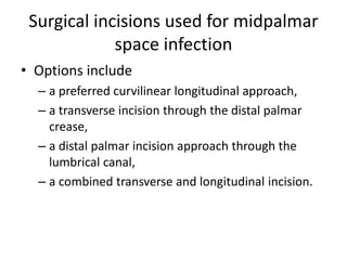 Surgical incisions used for midpalmar 
space infection 
• Options include 
– a preferred curvilinear longitudinal approach, 
– a transverse incision through the distal palmar 
crease, 
– a distal palmar incision approach through the 
lumbrical canal, 
– a combined transverse and longitudinal incision. 
 