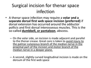 Surgical incision for thenar space 
infection 
• A thenar space infection may require a volar and a 
separate dorsal first web space incision (preferred) if 
dorsal extension has occurred around the adductor 
pollicis and first dorsal interosseous muscles. This is the 
so-called dumbbell, or pantaloon, abscess. 
– On the volar side, an incision is made adjacent and parallel 
to the thenar crease. Great care is taken to avoid injury to 
the palmar cutaneous branch of the median nerve in the 
proximal part of the incision and motor branch of the 
median nerve in a deeper plane. 
– A second, slightly curved longitudinal incision is made on the 
dorsum of the first web space 
 