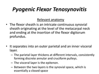 Pyogenic Flexor Tenosynovitis 
Relevant anatomy 
• The flexor sheath is an intricate continuous synovial 
sheath originating at the level of the metacarpal neck 
and ending at the insertion of the flexor digitorum 
profundus. 
• It separates into an outer parietal and an inner visceral 
layer. 
– The parietal layer thickens at different intervals, consistently 
forming discrete annular and cruciform pulleys. 
– The visceral layer is the epitenon. 
– Between the two layers is the synovial space, which is 
essentially a closed space 
 