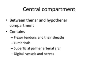 Central compartment 
• Between thenar and hypothenar 
compartment 
• Contains 
– Flexor tendons and their sheaths 
– Lumbricals 
– Superficial palmer arterial arch 
– Digital vessels and nerves 
 