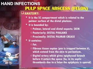 Comprehensive Overview of Hand Infections: Etiology, Pathology, and ...