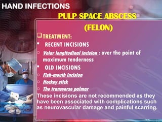 Comprehensive Overview of Hand Infections: Etiology, Pathology, and ...