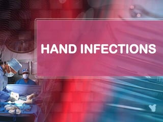 Hand Rowing Infections Comprehensive Overview of Hand Infections: Etiology, Pathology, and ...