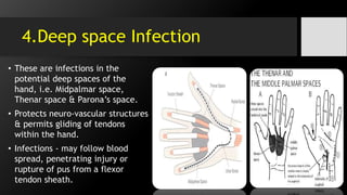 4.Deep space Infection
• These are infections in the
potential deep spaces of the
hand, i.e. Midpalmar space,
Thenar space & Parona’s space.
• Protects neuro-vascular structures
& permits gliding of tendons
within the hand.
• Infections - may follow blood
spread, penetrating injury or
rupture of pus from a flexor
tendon sheath.
 