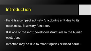 Introduction
• Hand is a compact actively functioning unit due to its
mechanical & sensory functions.
• It is one of the most developed structures in the human
evolution.
• Infection may be due to minor injuries or blood borne.
 