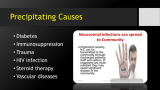 Precipitating Causes
• Diabetes
• Immunosuppression
• Trauma
• HIV infection
• Steroid therapy
• Vascular diseases
 