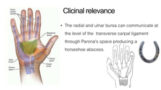 Hand infections | PDF
