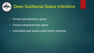 Deep Subfascial Space Infections
1. Dorsal subcutaneous space
2. Dorsal subaponeurotic space
3. Interdigital web space-collar-button abscess
 
