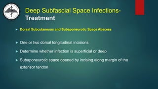 Deep Subfascial Space Infections-
Treatment
 Dorsal Subcutaneous and Subaponeurotic Space Abscess
 One or two dorsal longitudinal incisions
 Determine whether infection is superficial or deep
 Subaponeurotic space opened by incising along margin of the
extensor tendon
 