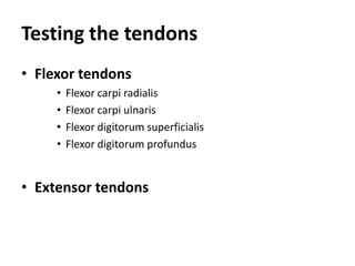 Tendon Testing Hand Hand injuries | PPTX
