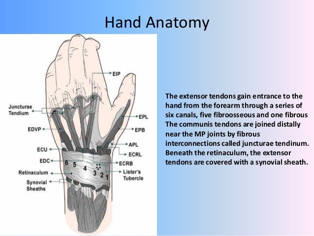 Hand injuries by Dr.SUNIL C