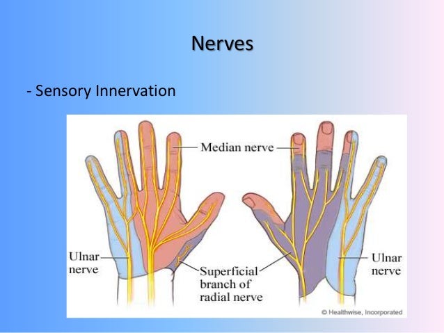 Hand injuries by Dr.SUNIL C