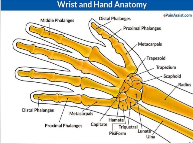 Hand injuries