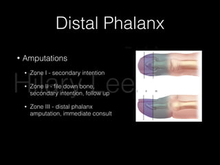 Distal Phalanx
• Amputations
• Zone I - secondary intention
• Zone II - ﬁle down bone,
secondary intention, follow up
• Zone III - distal phalanx
amputation, immediate consult
9 Emergency Medicine Practice © 2011June 2011 • ebmedicine.net
than 3 mm of digit length loss, and no rotational
deformity.35
All metacarpal shaft fractures should
be splinted and referred to a hand surgeon. Open
fractures and those that fail reduction should re-
ceive immediate surgical consultation.35
to the adjacent ﬁnger to promote early mobilization
and reduce stiffness. (See Figure 9, page 10.)
Figure 6. Radiograph Demonstrating
Phalanx Fractures
Left arrow notes a tuft fracture of digit IV. Right arrow notes a shaft
fracture of the distal phalanx of digit III.
Used with permission of John D. Lubahn, MD.
Figure 7. Zones Of Fingertip Amputation
© 2001. Renee L. Cannon. Used with permission.
Zone I II III
Zone I II IIIHilary Lee 2015
 