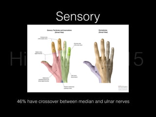 Sensory
46% have crossover between median and ulnar nerves
Hilary Lee 2015
 