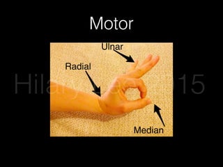 Motor
Hilary Lee 2015
 