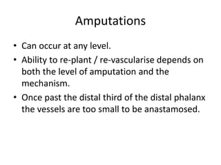 Amputations
• Can occur at any level.
• Ability to re-plant / re-vascularise depends on
both the level of amputation and the
mechanism.
• Once past the distal third of the distal phalanx
the vessels are too small to be anastamosed.
 