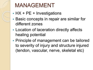 MANAGEMENT
 HX + PE + Investigations
 Basic concepts in repair are similar for
different zones
 Location of laceration directly affects
healing potential
 Principle of management can be tailored
to severity of injury and structure injured
(tendon, vascular, nerve, skeletal etc)
 
