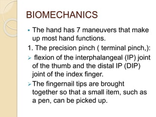 BIOMECHANICS
 The hand has 7 maneuvers that make
up most hand functions.
1. The precision pinch ( terminal pinch,):
 flexion of the interphalangeal (IP) joint
of the thumb and the distal IP (DIP)
joint of the index finger.
The fingernail tips are brought
together so that a small item, such as
a pen, can be picked up.
 