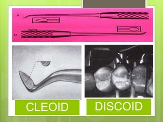 CLEOID DISCOID
 