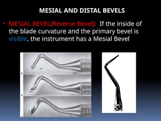 MESIAL AND DISTAL BEVELS
• MESIAL BEVEL(Reverse Bevel): If the inside of
the blade curvature and the primary bevel is
visible, the instrument has a Mesial Bevel
 