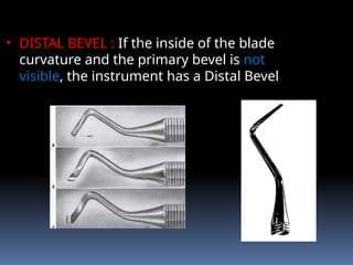 • DISTAL BEVEL : If the inside of the blade
curvature and the primary bevel is not
visible, the instrument has a Distal Bevel
 