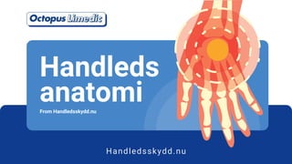 Handleds
anatomi
From Handledsskydd.nu
Handledsskydd.nu
 