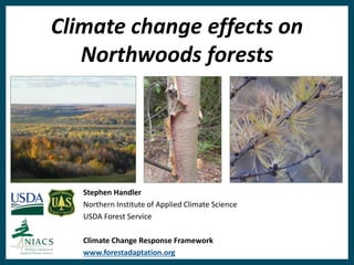 Stephen Handler
Climate change effects on
Northwoods forests
Stephen Handler
Northern Institute of Applied Climate Science
USDA Forest Service
Climate Change Response Framework
www.forestadaptation.org
 