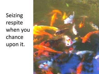 Seizing respite when you chance upon it.