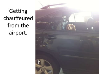 Getting chauffeured from the airport.
