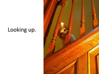 Looking up.