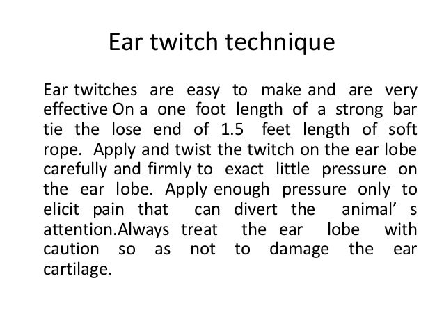 twitch in ear allisin
