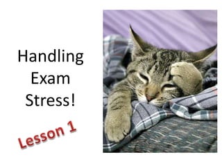 Handling
Exam
Stress!
 