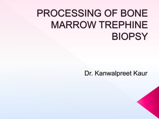 processing of bone marrow trephine biopsy | PPTX