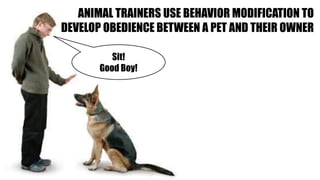 ANIMAL TRAINERS USE BEHAVIOR MODIFICATION TO
DEVELOP OBEDIENCE BETWEEN A PET AND THEIR OWNER
Sit!
Good Boy!
 
