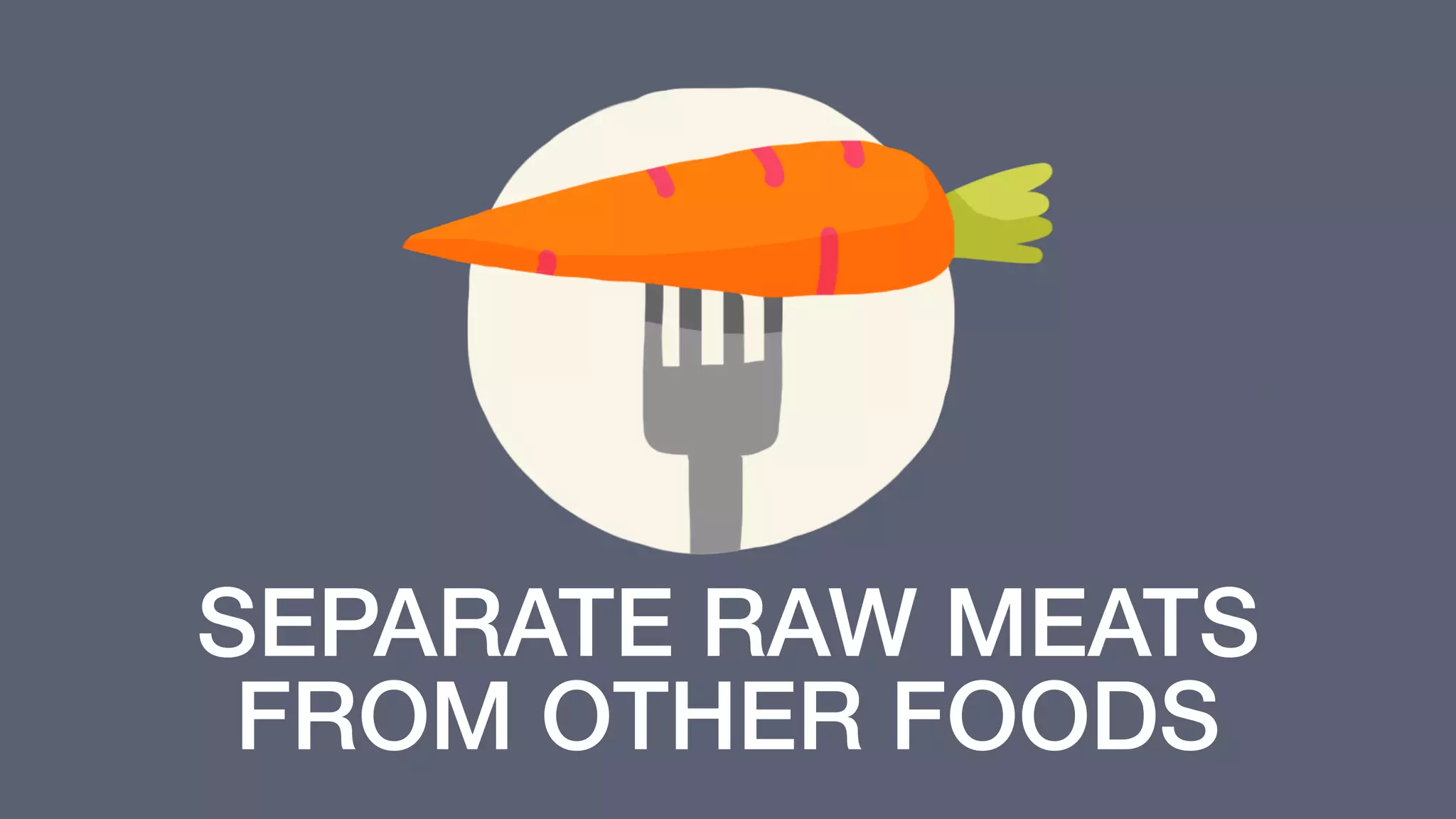 Raw Pet Food Safe Handling